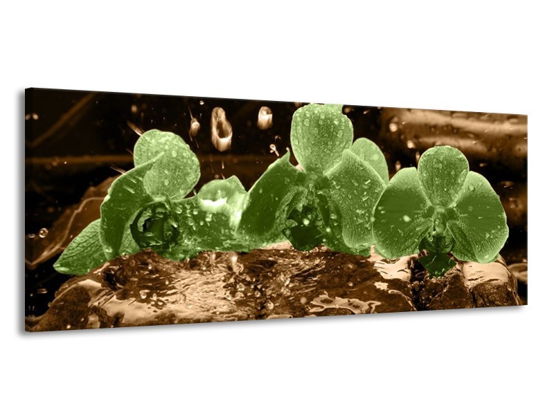 Canvas schilderij Orchidee | Groen, Bruin | 145x58cm 1Luik