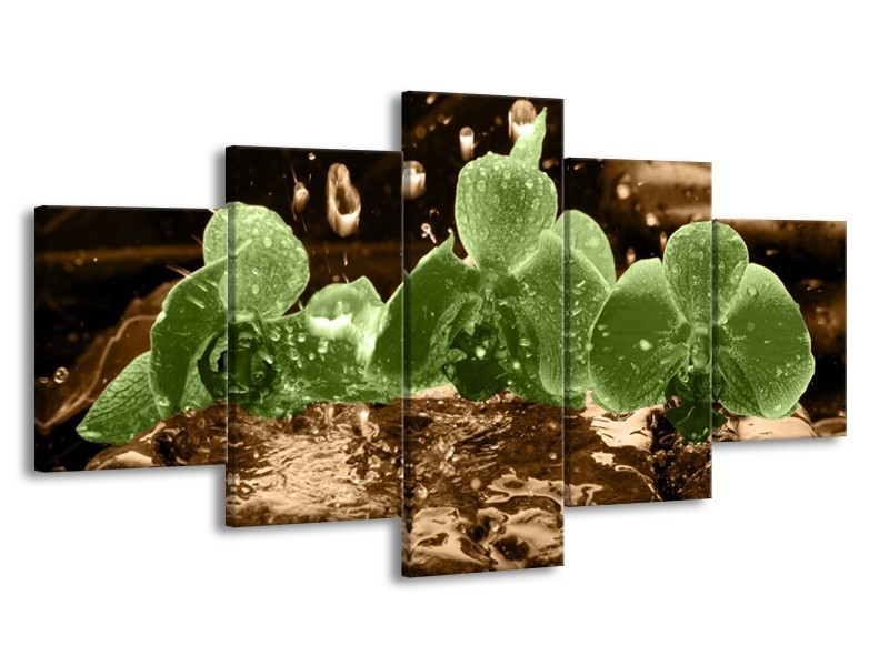 Canvas schilderij Orchidee | Groen, Bruin | 150x80cm 5Luik