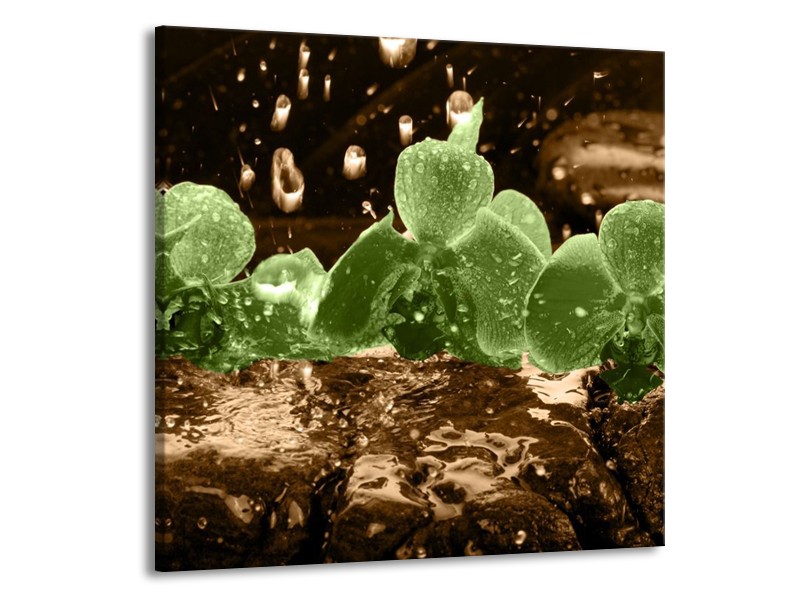 Canvas schilderij Orchidee | Groen, Bruin | 70x70cm 1Luik