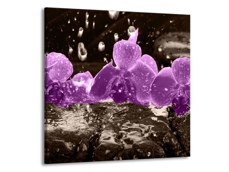Canvas schilderij Orchidee | Paars, Grijs | 70x70cm 1Luik