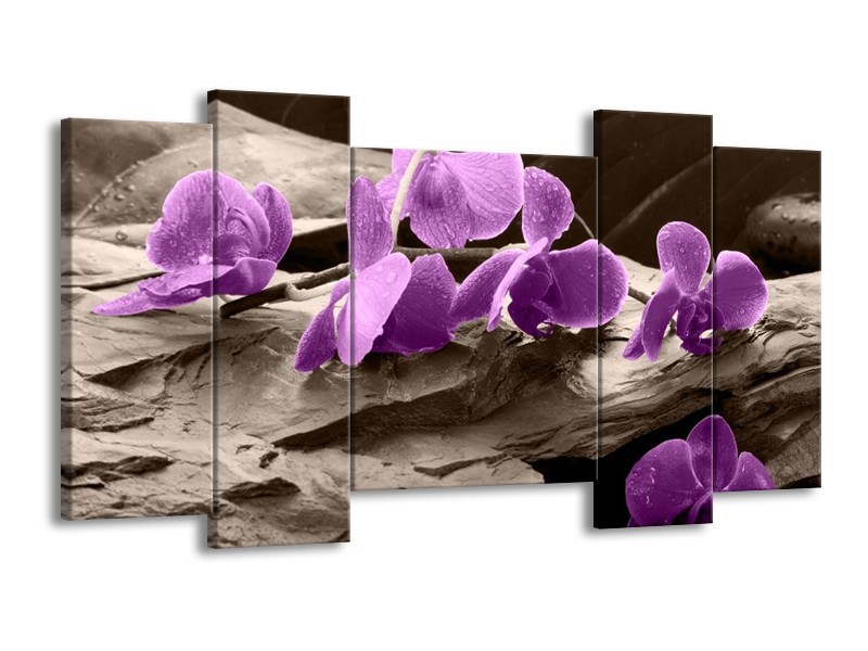 Canvas schilderij Orchidee | Paars, Grijs | 120x65 5Luik
