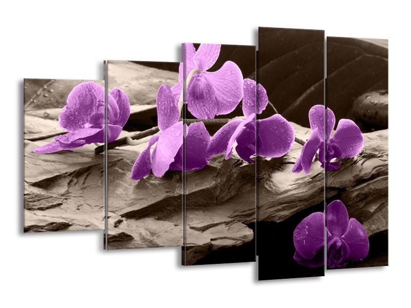 Canvas schilderij Orchidee | Paars, Grijs | 150x100cm 5Luik