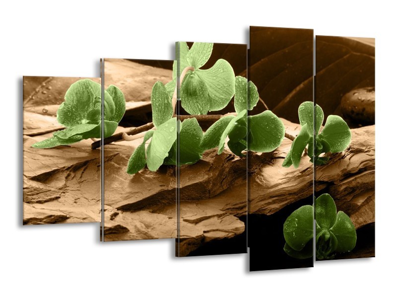 Canvas schilderij Orchidee | Groen, Bruin | 150x100cm 5Luik