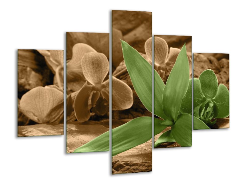 Canvas schilderij Orchidee | Groen, Bruin | 100x70cm 5Luik