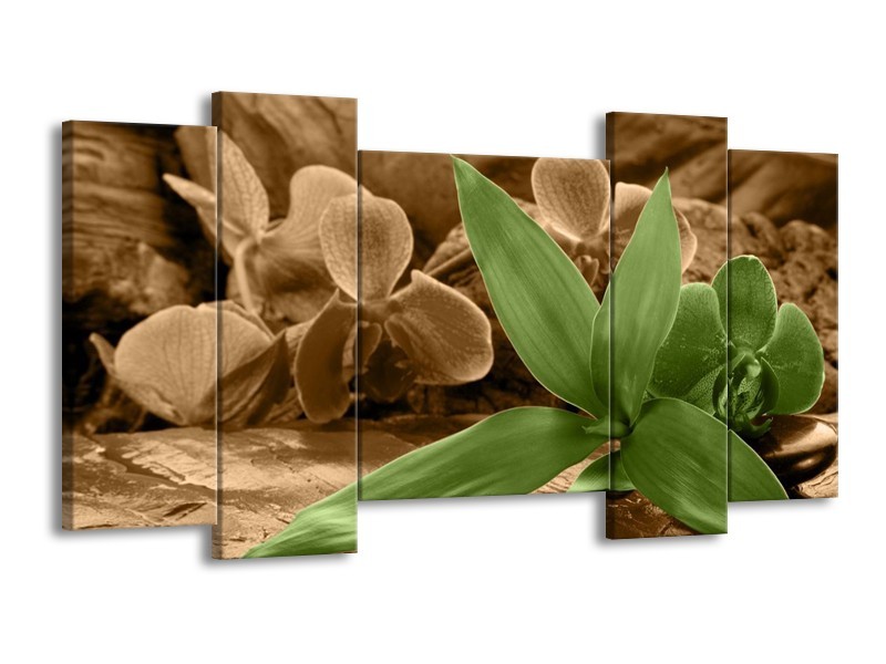Canvas schilderij Orchidee | Groen, Bruin | 120x65 5Luik