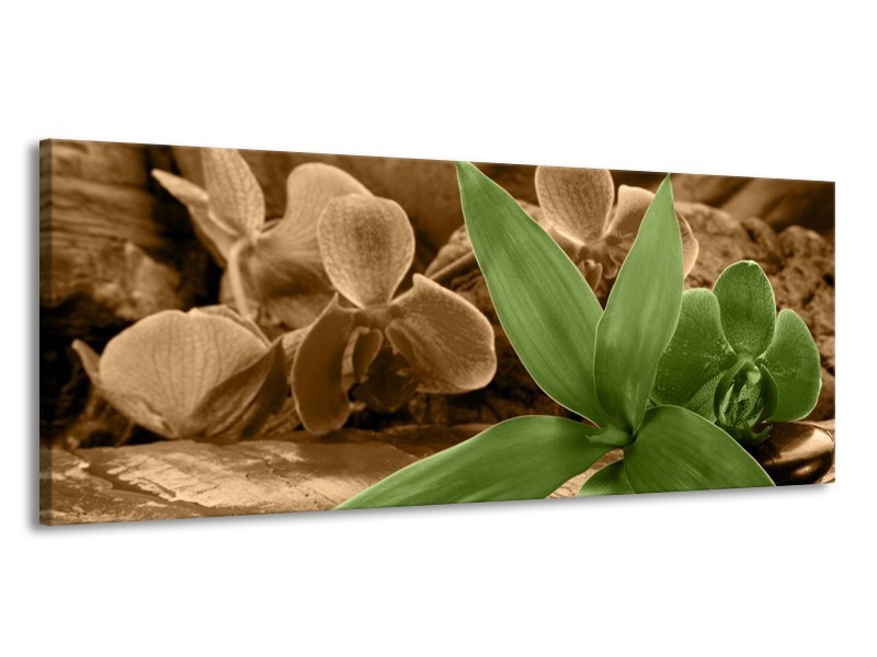 Canvas schilderij Orchidee | Groen, Bruin | 145x58cm 1Luik