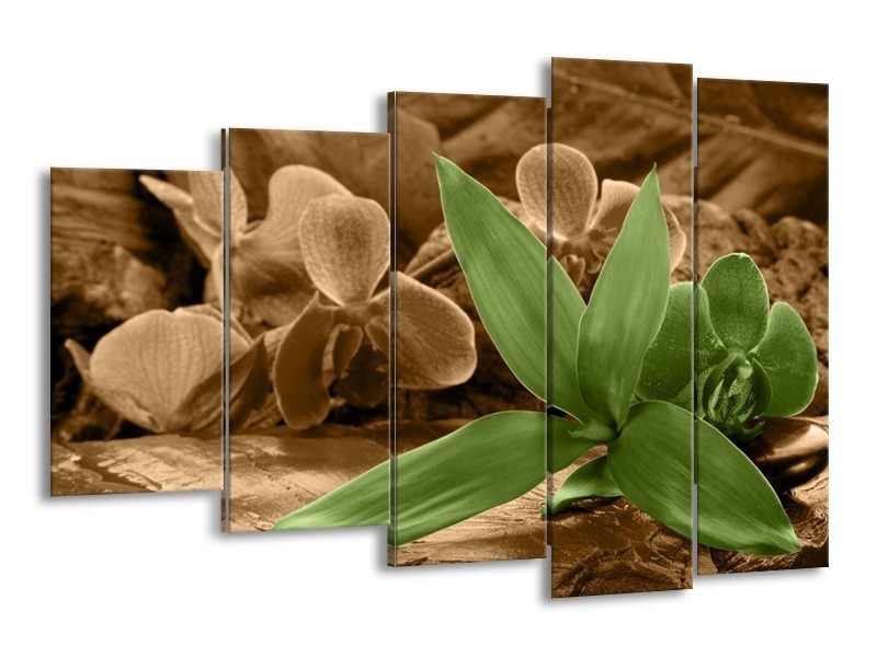 Canvas schilderij Orchidee | Groen, Bruin | 150x100cm 5Luik