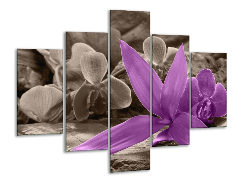Canvas schilderij Orchidee | Grijs, Paars | 100x70cm 5Luik