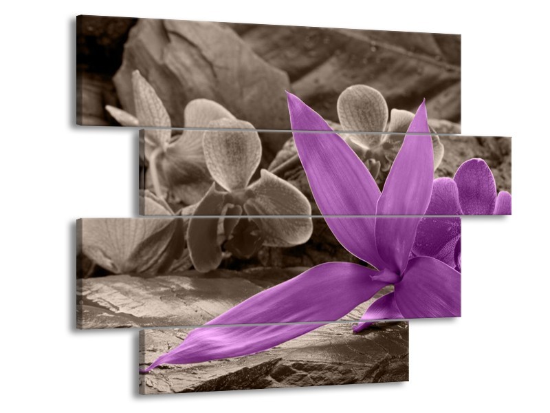 Canvas schilderij Orchidee | Grijs, Paars | 115x85cm 4Luik