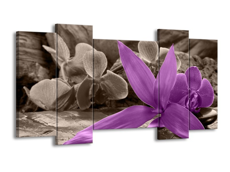 Canvas schilderij Orchidee | Grijs, Paars | 120x65 5Luik