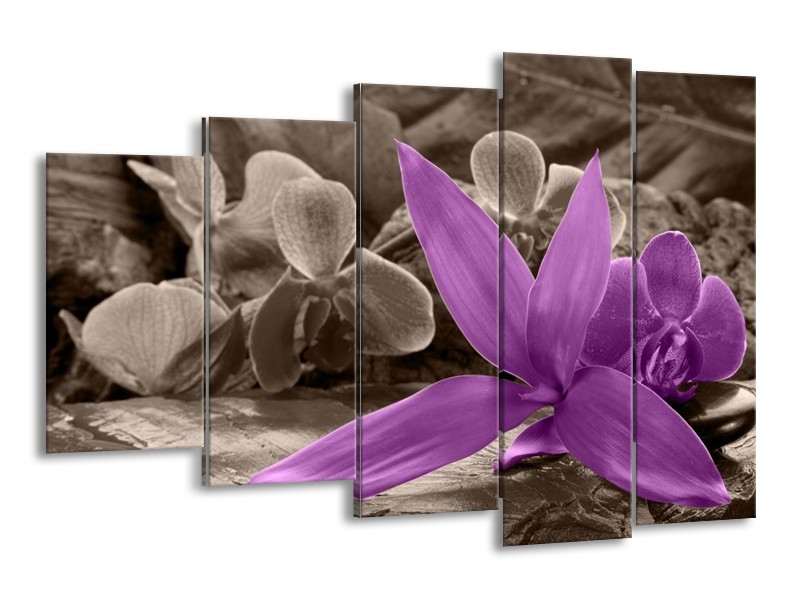 Canvas schilderij Orchidee | Grijs, Paars | 150x100cm 5Luik