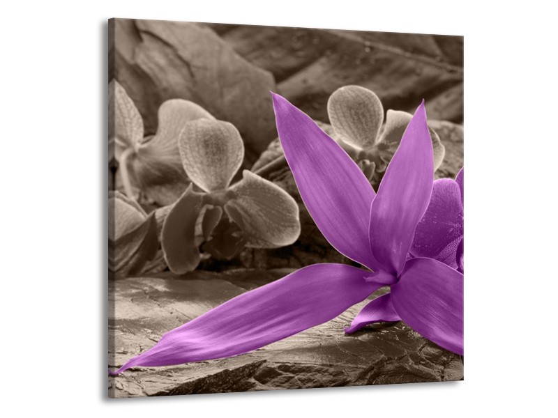 Canvas schilderij Orchidee | Grijs, Paars | 70x70cm 1Luik