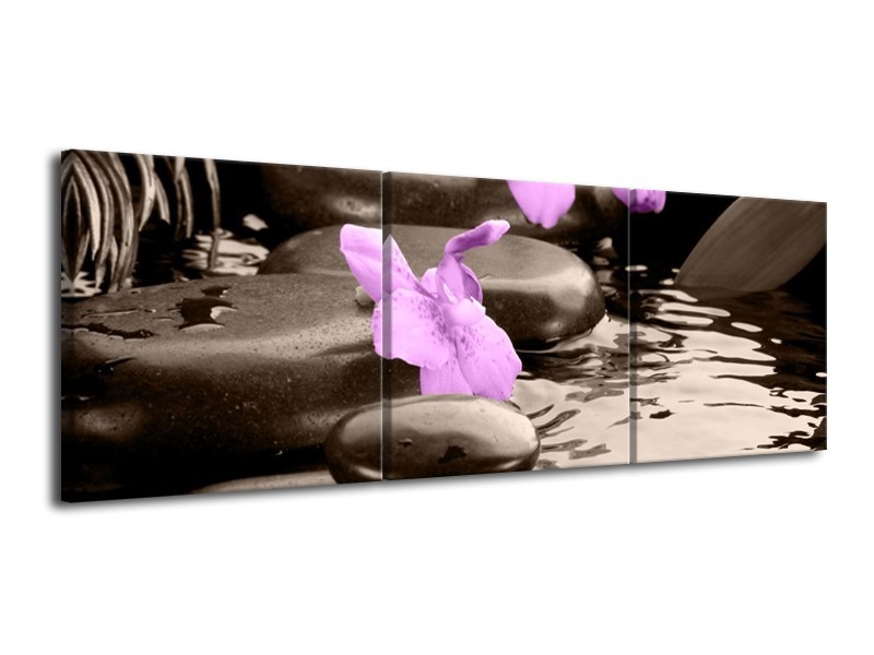 Glas schilderij Orchidee | Grijs, Paars | 120x40cm 3Luik