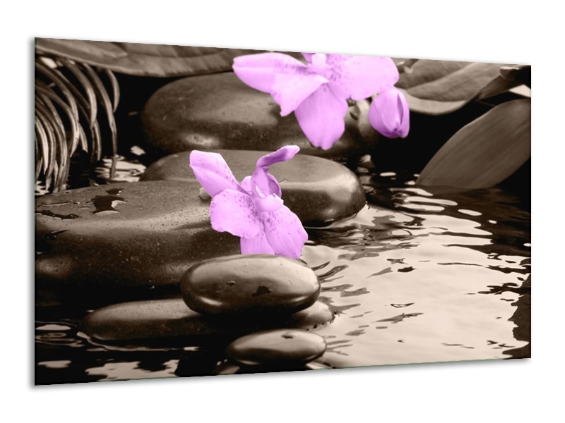 Canvas schilderij Orchidee | Grijs, Paars | 120x70cm 1Luik