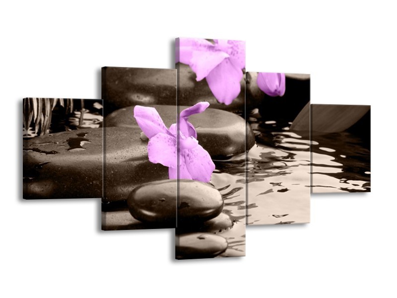 Canvas schilderij Orchidee | Grijs, Paars | 125x70cm 5Luik