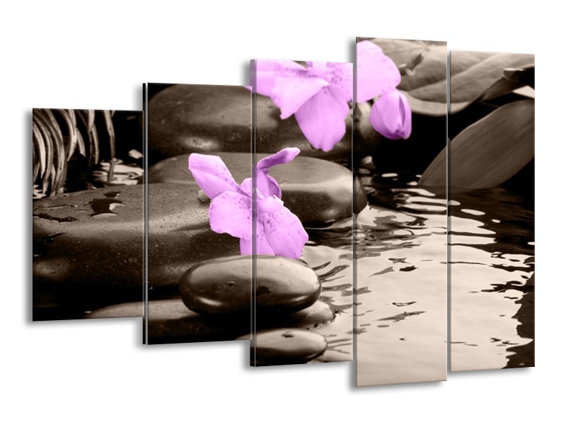 Canvas schilderij Orchidee | Grijs, Paars | 150x100cm 5Luik