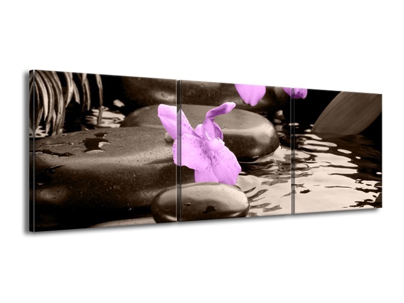 Canvas schilderij Orchidee | Grijs, Paars | 150x50cm 3Luik