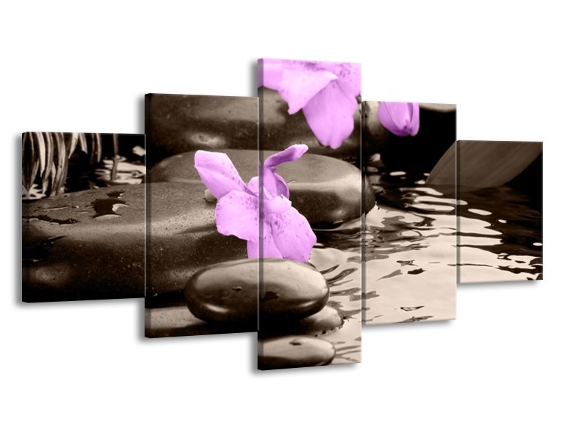 Canvas schilderij Orchidee | Grijs, Paars | 150x80cm 5Luik