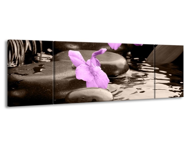 Canvas schilderij Orchidee | Grijs, Paars | 170x50cm 3Luik