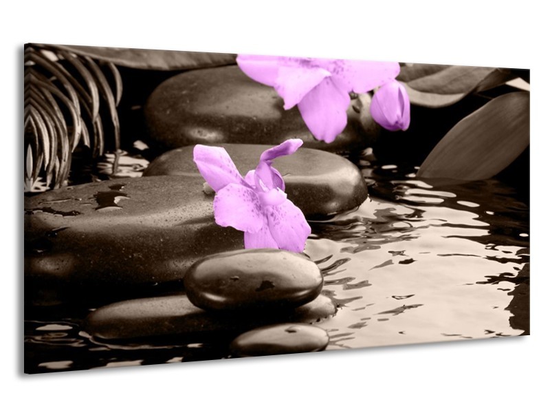 Canvas schilderij Orchidee | Grijs, Paars | 190x100cm 1Luik