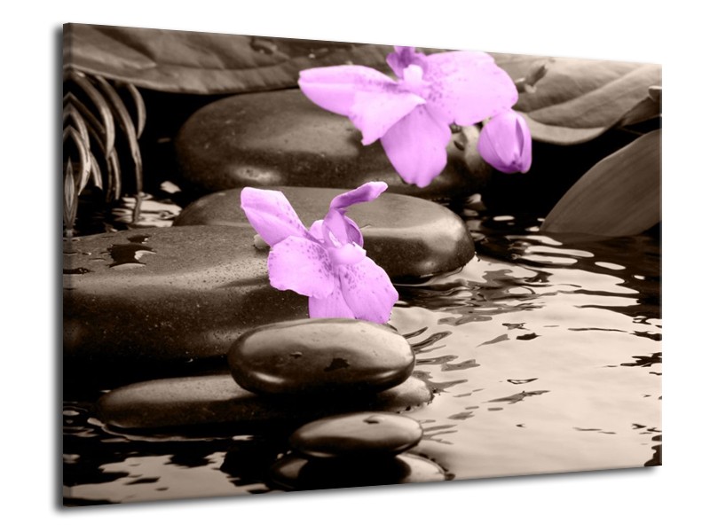 Canvas schilderij Orchidee | Grijs, Paars | 70x50cm 1Luik