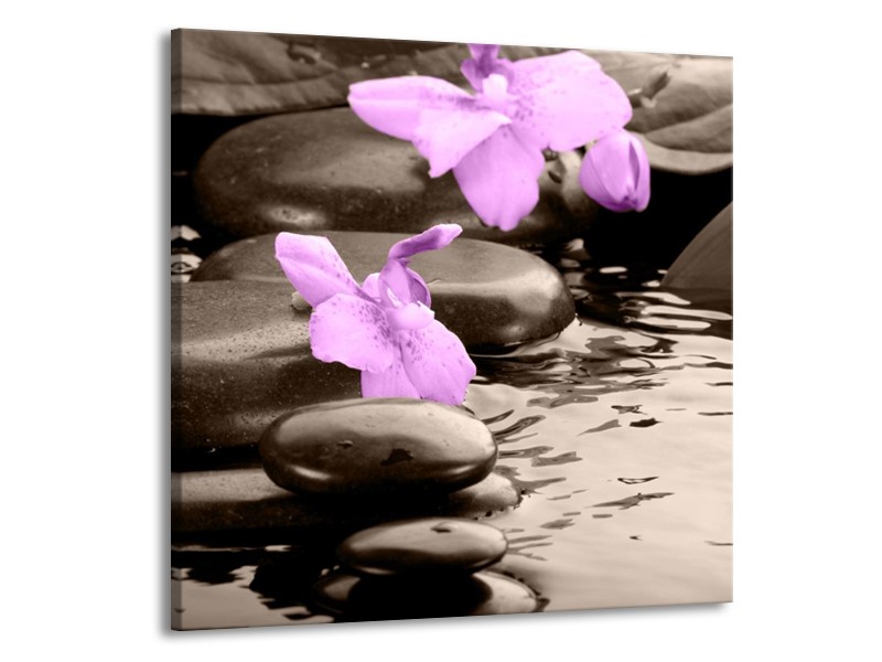 Canvas schilderij Orchidee | Grijs, Paars | 70x70cm 1Luik