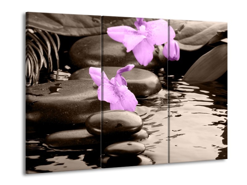 Canvas schilderij Orchidee | Grijs, Paars | 90x60cm 3Luik