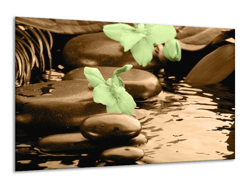 Canvas schilderij Orchidee | Bruin, Groen | 120x70cm 1Luik