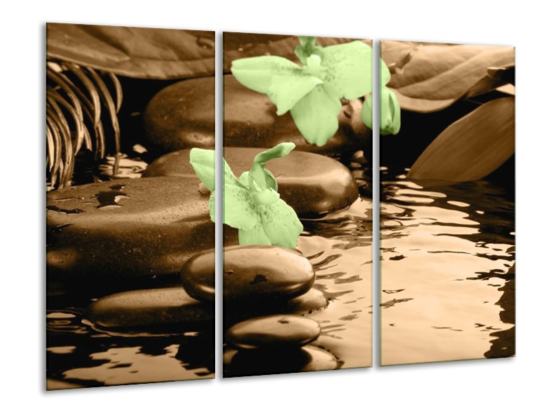 Canvas schilderij Orchidee | Bruin, Groen | 120x80cm 3Luik