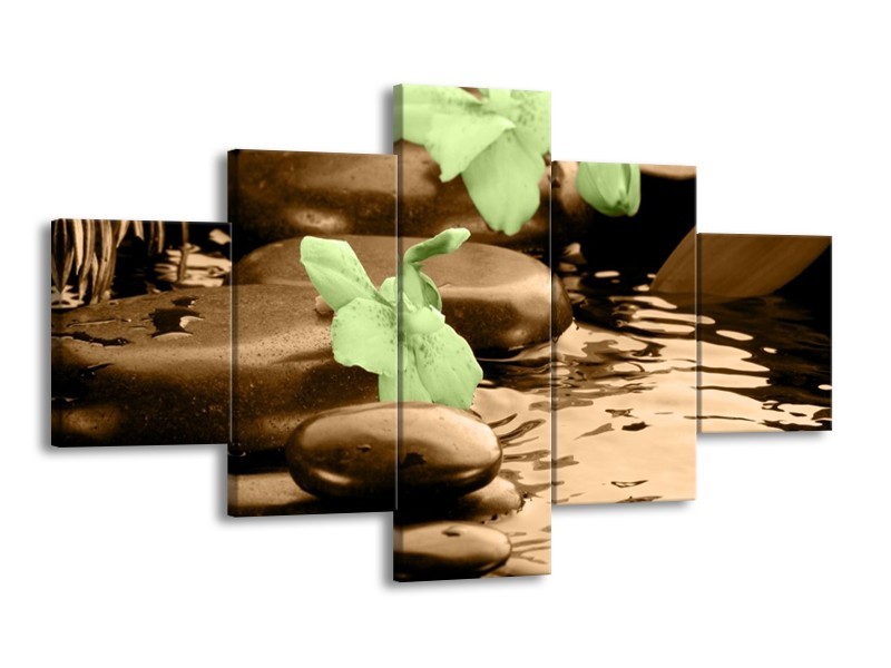 Canvas schilderij Orchidee | Bruin, Groen | 125x70cm 5Luik