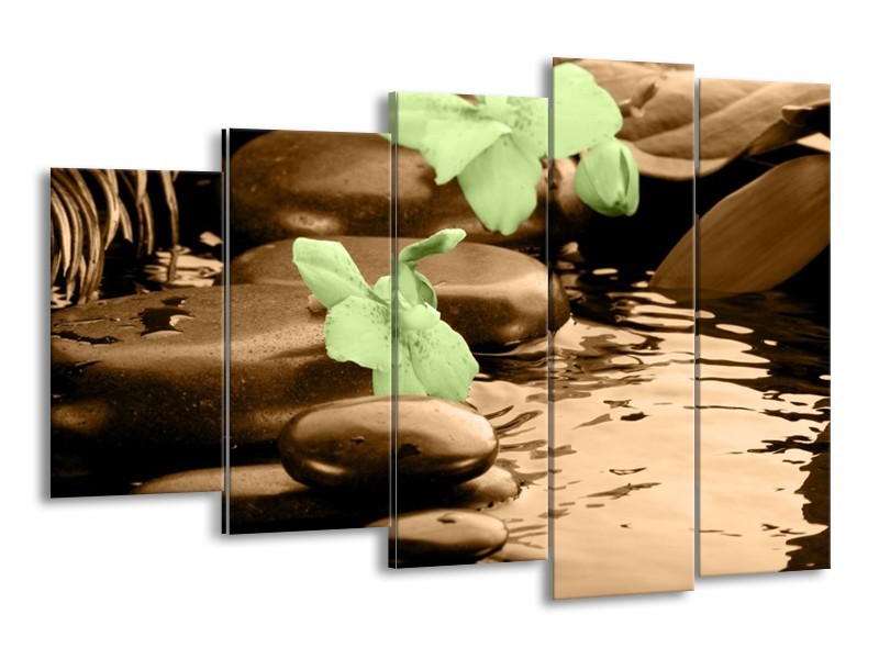 Canvas schilderij Orchidee | Bruin, Groen | 150x100cm 5Luik