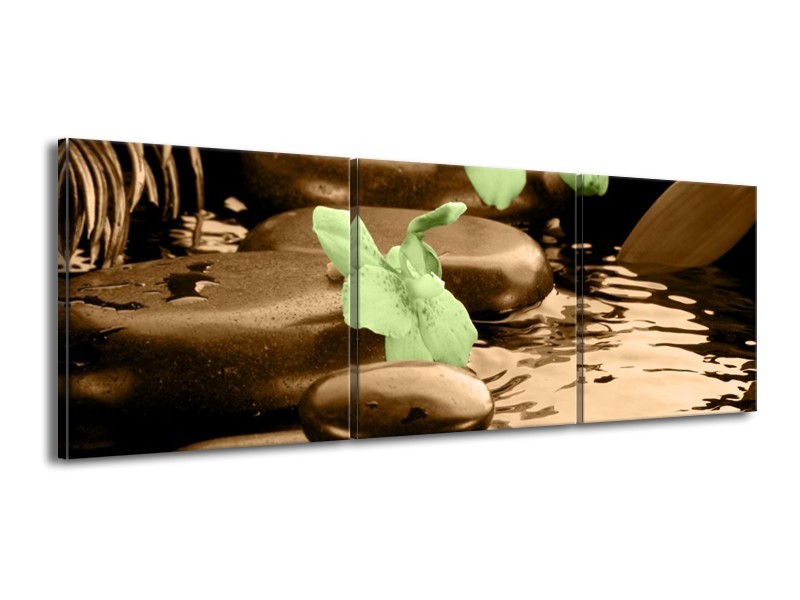 Canvas schilderij Orchidee | Bruin, Groen | 150x50cm 3Luik