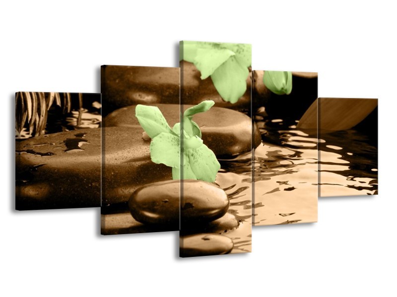 Canvas schilderij Orchidee | Bruin, Groen | 150x80cm 5Luik