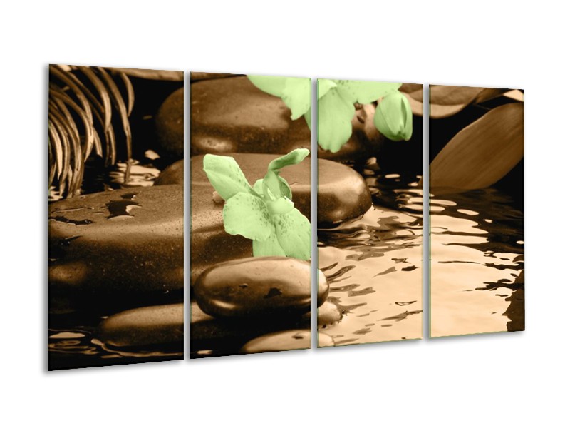 Canvas schilderij Orchidee | Bruin, Groen | 160x80cm 4Luik