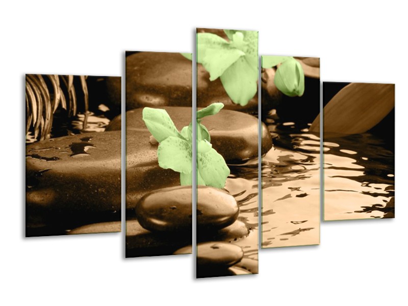 Canvas schilderij Orchidee | Bruin, Groen | 170x100cm 5Luik