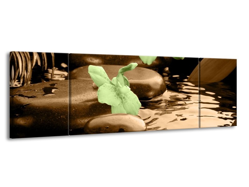 Canvas schilderij Orchidee | Bruin, Groen | 170x50cm 3Luik