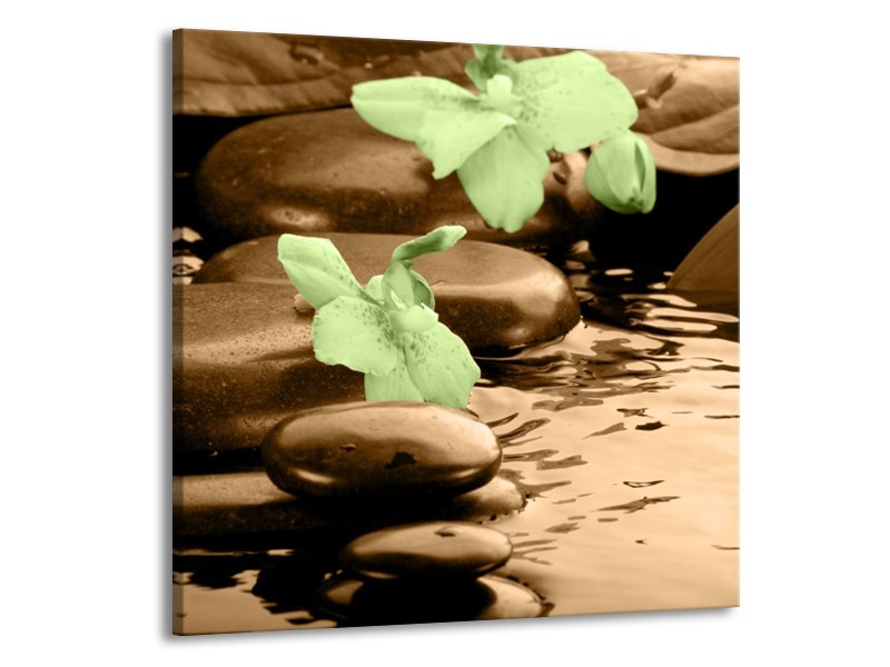 Canvas schilderij Orchidee | Bruin, Groen | 70x70cm 1Luik