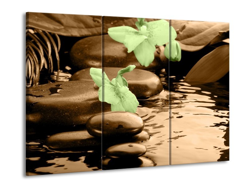 Canvas schilderij Orchidee | Bruin, Groen | 90x60cm 3Luik