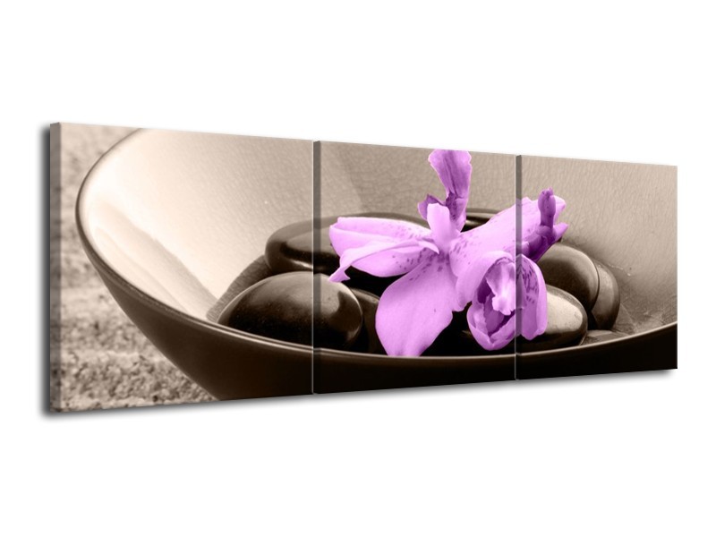 Canvas schilderij Spa | Paars, Zwart | 120x40cm 3Luik