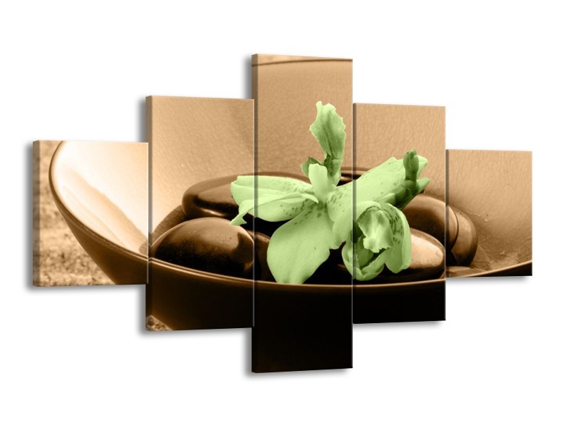 Canvas schilderij Spa | Groen, Bruin | 125x70cm 5Luik