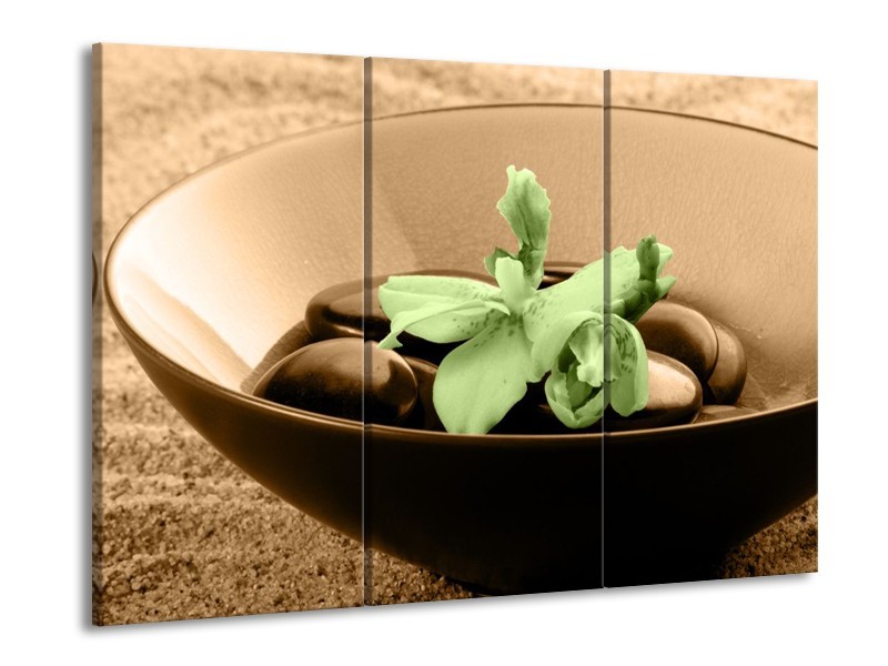 Canvas schilderij Spa | Groen, Bruin | 90x60cm 3Luik