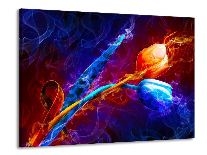 Canvas schilderij Tulp | Blauw, Rood, Oranje | 100x70cm 1Luik