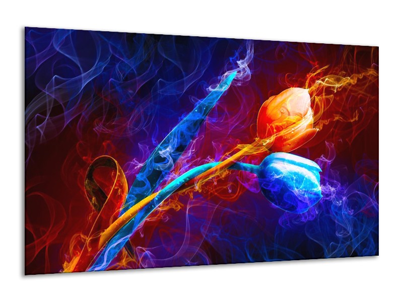 Canvas schilderij Tulp | Blauw, Rood, Oranje | 120x70cm 1Luik