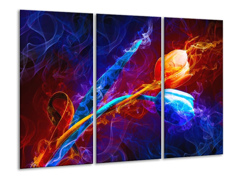 Glas schilderij Tulp | Blauw, Rood, Oranje | 120x80cm 3Luik