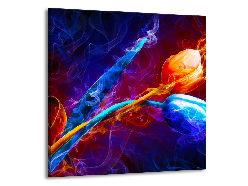 Glas schilderij Tulp | Blauw, Rood, Oranje | 50x50cm 1Luik