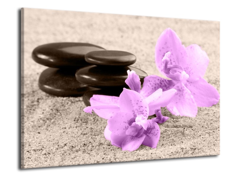 Canvas schilderij Orchidee | Paars, Grijs, Zwart | 70x50cm 1Luik