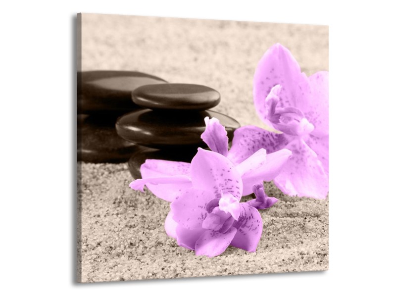 Canvas schilderij Orchidee | Paars, Grijs, Zwart | 70x70cm 1Luik