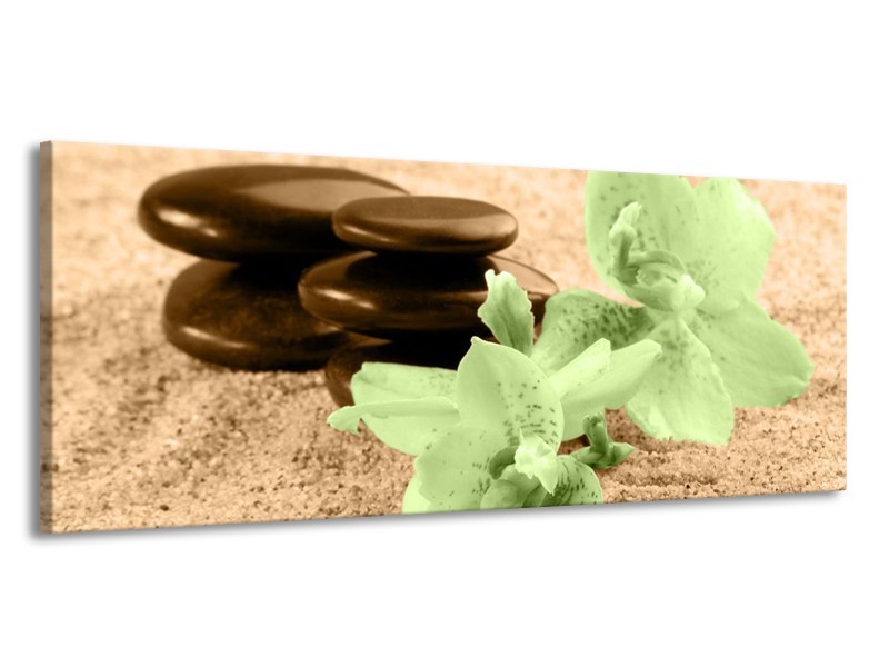 Canvas schilderij Orchidee | Groen, Bruin | 145x58cm 1Luik