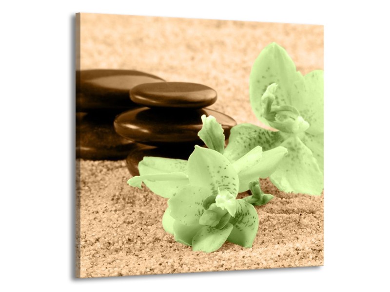 Canvas schilderij Orchidee | Groen, Bruin | 70x70cm 1Luik