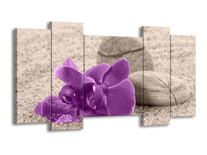 Canvas schilderij Orchidee | Paars, Grijs | 120x65 5Luik